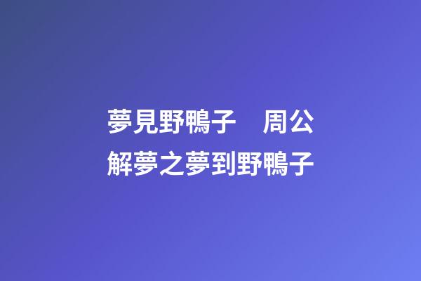 夢見野鴨子　周公解夢之夢到野鴨子